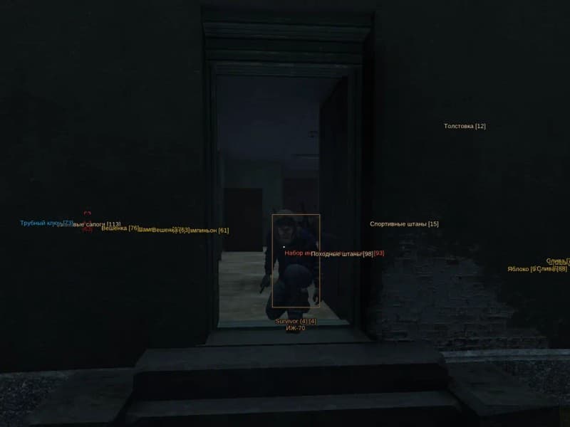 DayZ cheat gameplay screenshot 1 — ESP overlay showing players and loot