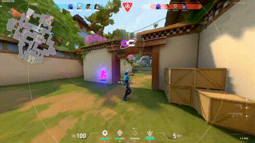 ESP/Wallhack Options